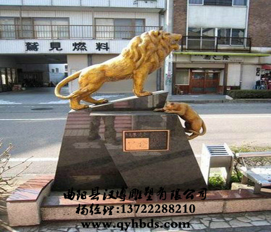 ���ܶ�������