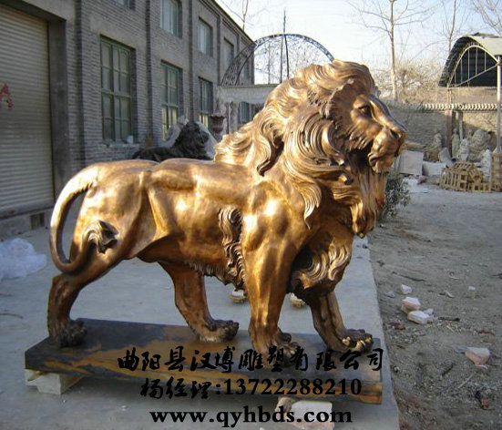 ���ܶ�������