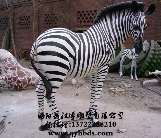 ���ܶ�������