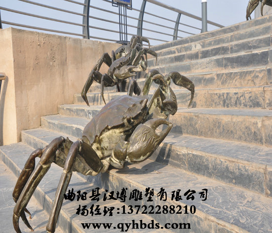 ���ܶ�������